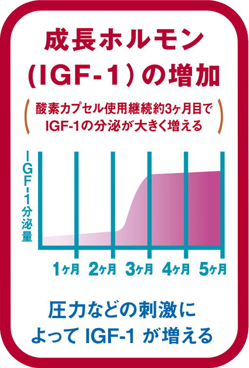 成長ホルモン(IGF-1)の増加