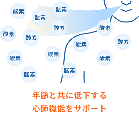 年齢と共に低下する心肺機能をサポート